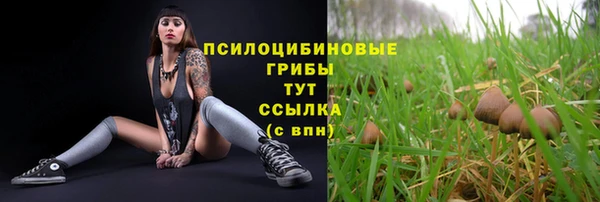 СК Алексин