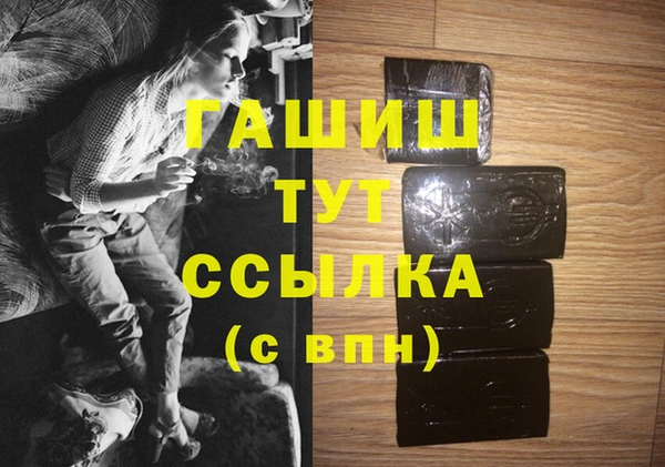СК Алексин