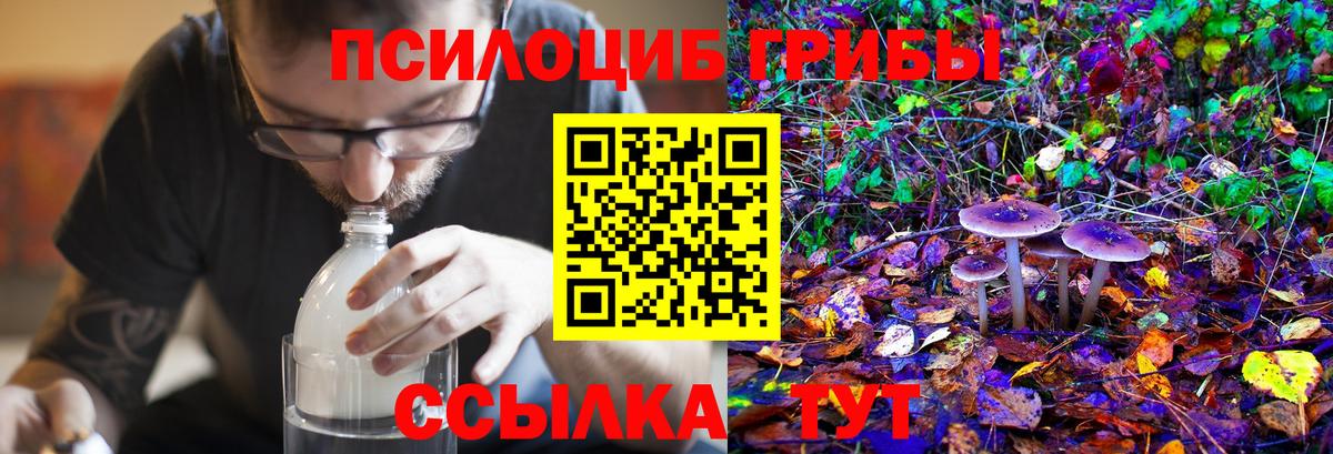 Псилоцибиновые грибы мухоморы Евпатория